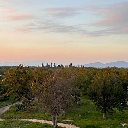 Hotel Nuvo Saltillo Zewnętrze zdjęcie