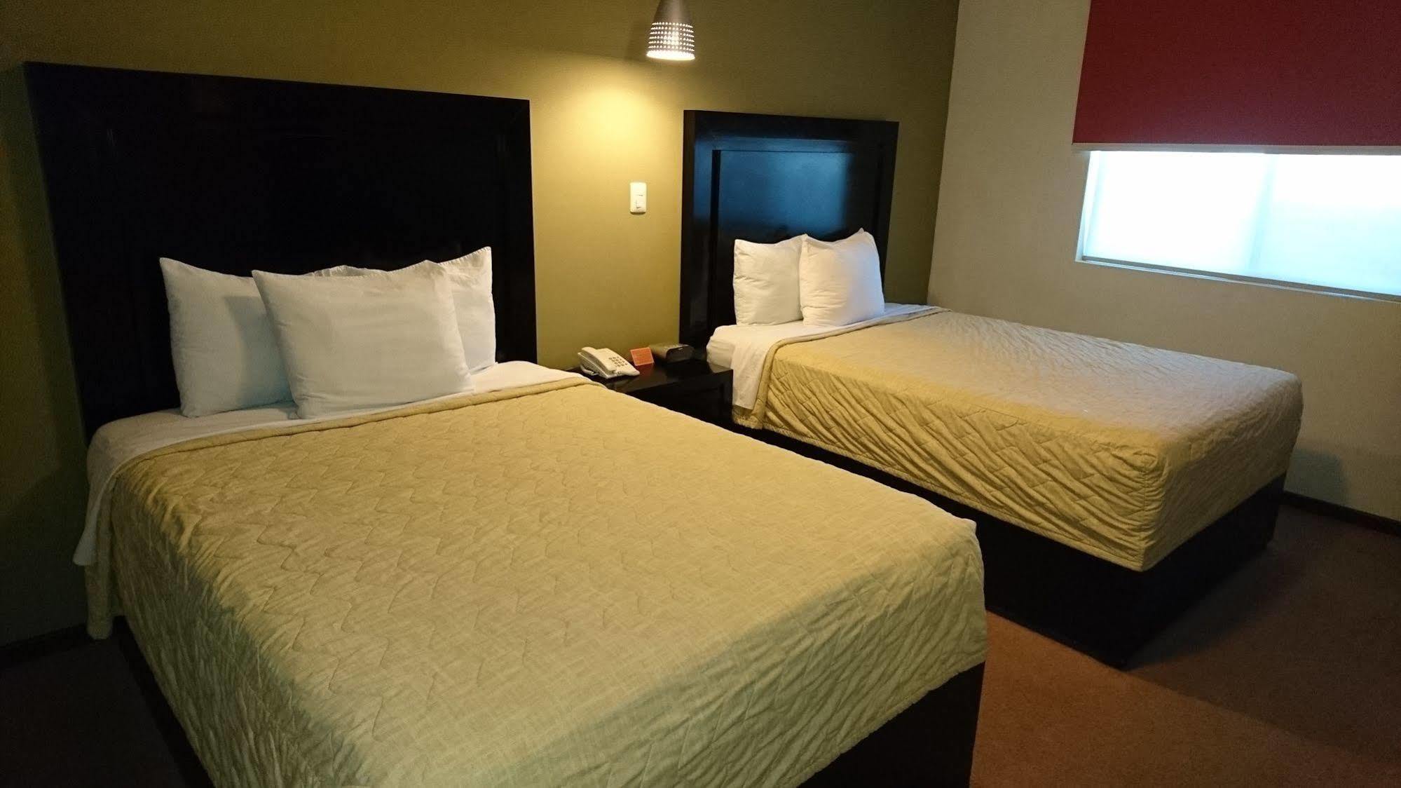 Hotel Nuvo Saltillo Zewnętrze zdjęcie